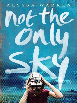 cover image of Not the Only Sky